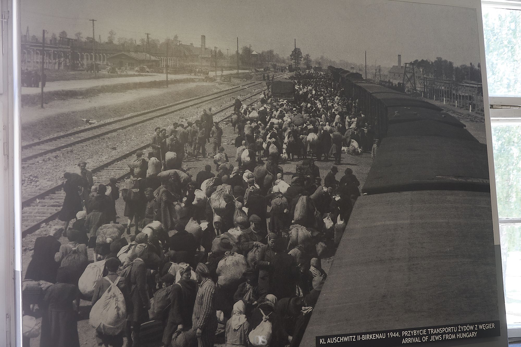Auschwitz 17.jpg